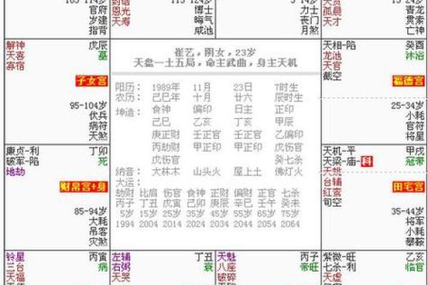 紫微斗数排盘天魁星坐命宫分析,十二宫分析