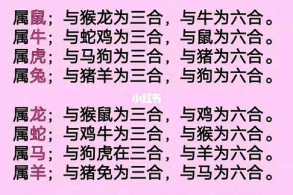 算命生肖婚配蛇配虎,蛇虎配对姻缘? 算命生肖婚配蛇配虎,蛇虎配对姻缘?