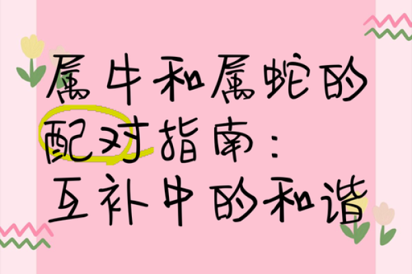 男生肖蛇配对,这几点你需要知道! 男生肖蛇配对,这几点你需要知道!