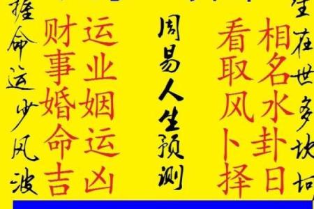 17年算命