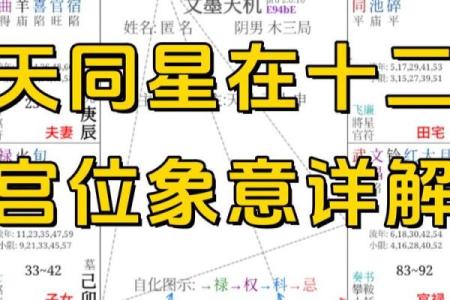 紫薇斗数:天同在戌癸年生女解读