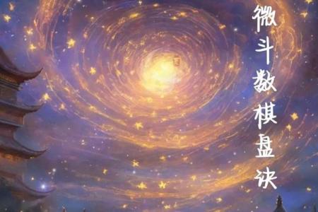 命硬的紫薇斗数