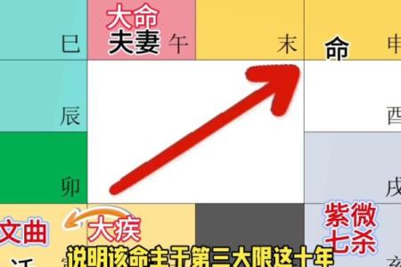 紫微斗数排盘疾厄宫自化忌是什么意思?
