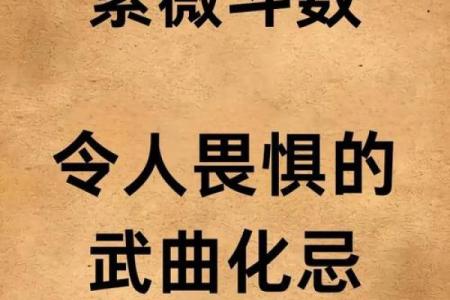 紫薇斗数爱好群