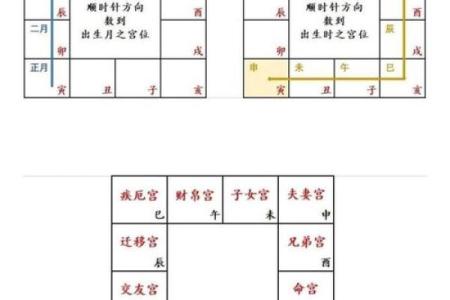 紫微斗数排盘天魁星坐命宫分析,十二宫分析
