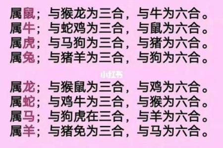 算命生肖婚配蛇配虎,蛇虎配对姻缘?