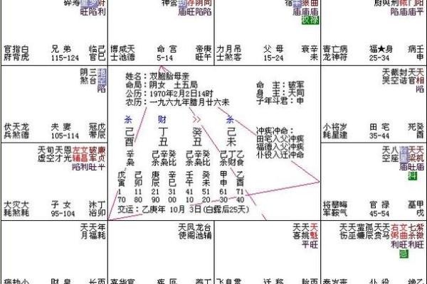 免费紫微命盘配对 免费紫微命盘配对