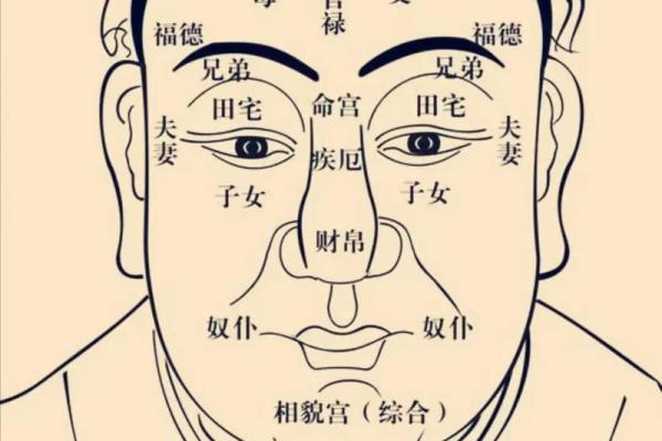 紫微斗数如何看发财命格,分析发财命格的方法 紫微斗数如何看发财命格,分析发财命格的方法