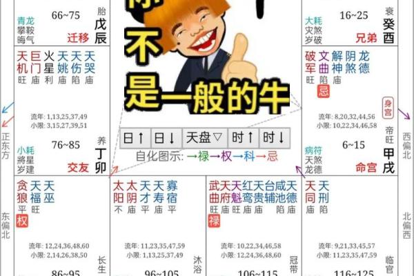 紫微斗数与八字 紫微斗数与八字