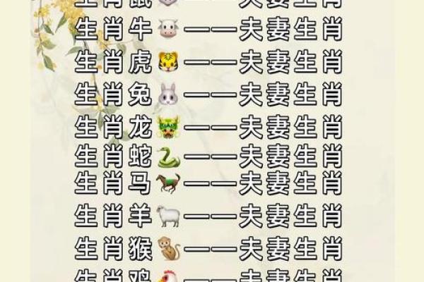 生肖配对:属鼠的和什么属相最配 生肖配对:属鼠的和什么属相最配