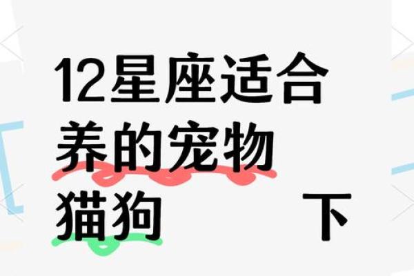 生肖狗摩羯座男的性格特点以及配对解析 生肖狗摩羯座男的性格特点以及配对解析