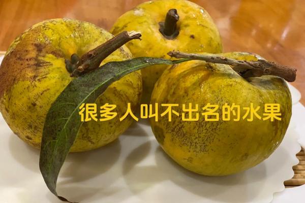 「财神爷」也救不了!这种水果因为谐音无人问津,商家损失惨重 「财神爷」也救不了!这种水果因为谐音无人问津,商家损失惨重