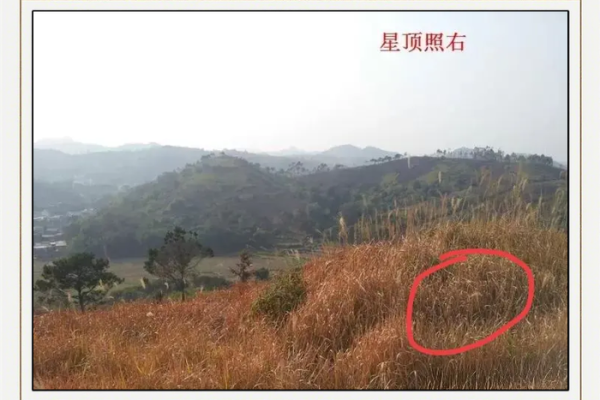 迁坟风水分析:要注意这些忌讳 迁坟风水分析:要注意这些忌讳