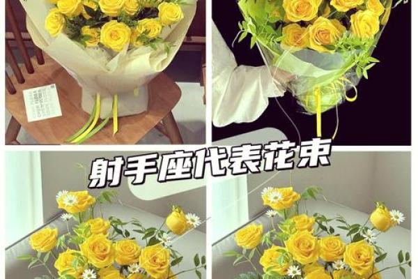十二星座专属守护花都有哪些呢