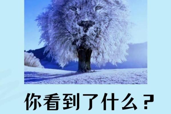 测试自己最近运气  测试你最近运气好吗 测试自己最近运气  测试你最近运气好吗