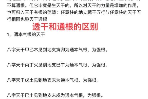 「八字年柱有根」为你解读，合辟新坑或自我提升？
