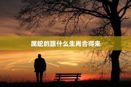 属牛和属蛇的相合配对指数