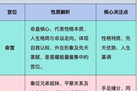 紫薇斗数实例解说