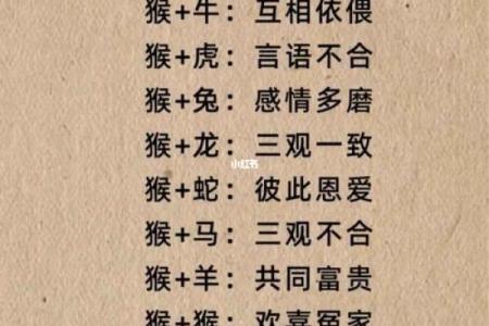 生肖配对姻缘查询鼠猴 生肖配对表鼠?