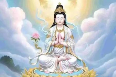 观音菩萨坐什么花