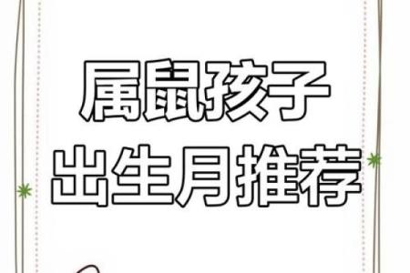 属鼠是哪一年出生的 属鼠的男孩出生吉日