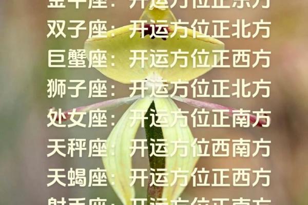 2013年十二星座运势详解 2013年十二星座运势详解