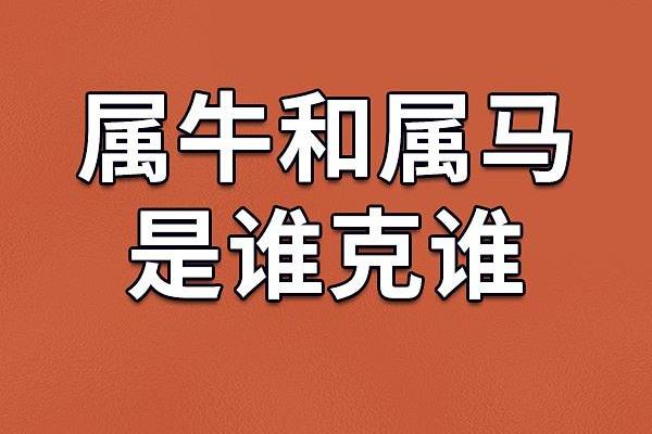 属马的女人和属牛的男人配吗 情感配对深度分析 属马的女人和属牛的男人配吗 情感配对深度分析