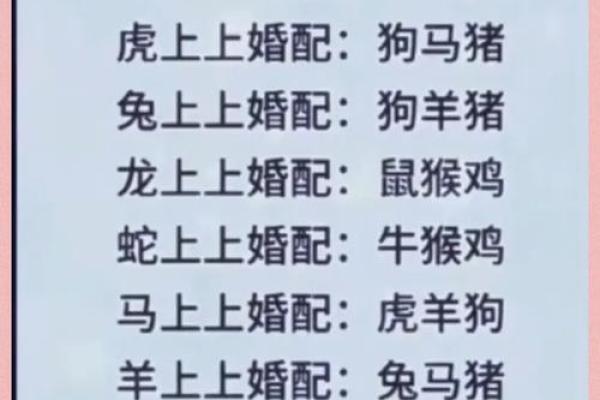 生肖配对 十二生肖最佳配对表格 生肖配对 十二生肖最佳配对表格