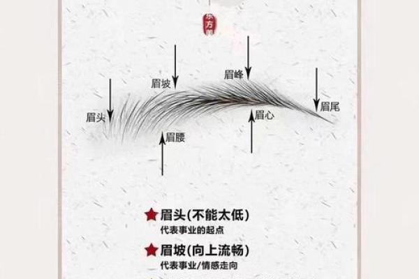女人眉毛的风水以下眉形的眉毛财运好 女人眉毛的风水以下眉形的眉毛财运好
