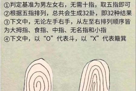 算命中指的官是什么