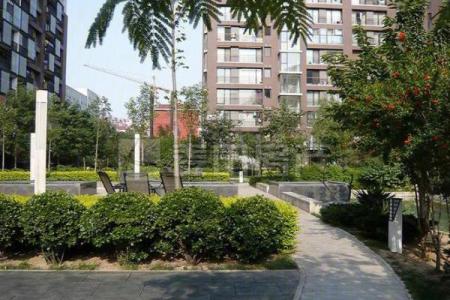 本家润园c区风水