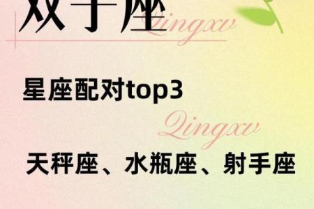 双子座和射手配对吗