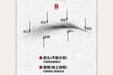 女人眉毛的风水以下眉形的眉毛财运好