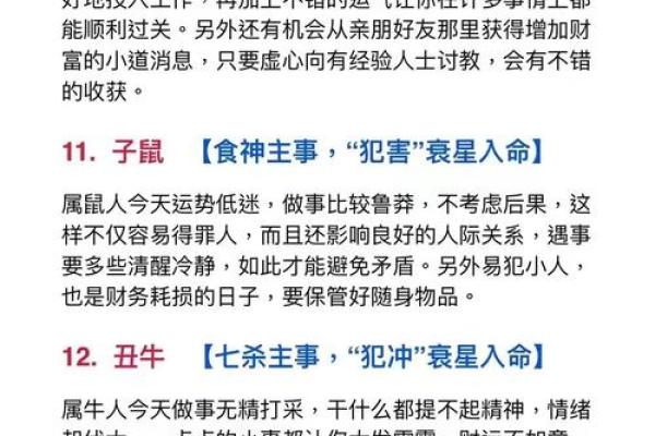 肖鼠者不同血型有哪些优势 肖鼠者不同血型有哪些优势