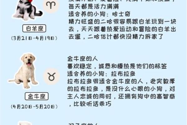 星座小知识:大犬座在什么季节出现 星座小知识:大犬座在什么季节出现