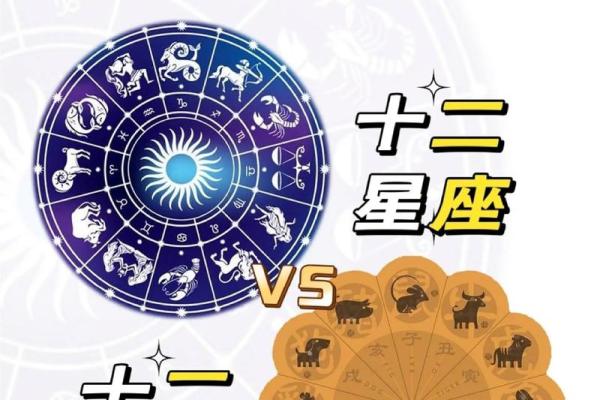 十二星座哪些生肖女最美丽 十二星座哪些生肖女最美丽
