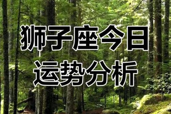 狮子座财运在哪个方位 什么时候好 狮子座财运在哪个方位 什么时候好