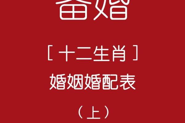 72年属什么生肖配对