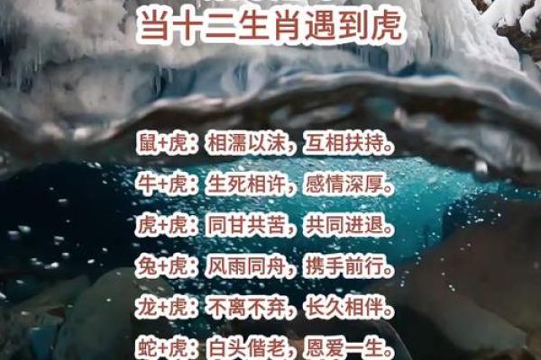 虎与最佳配鱼是什么  虎的最佳配对是什么 虎与最佳配鱼是什么  虎的最佳配对是什么