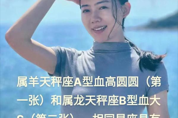 属羊双子座B型血男女性格分析和配对 属羊双子座B型血男女性格分析和配对