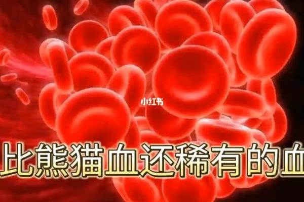 什么血型最厚脸皮