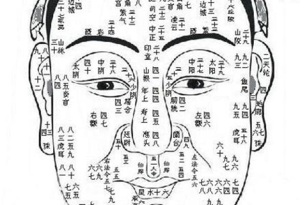 面相算命入门：五行与相貌