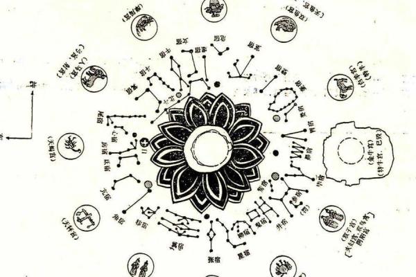 紫薇斗数全集九星 紫薇斗数全集九星