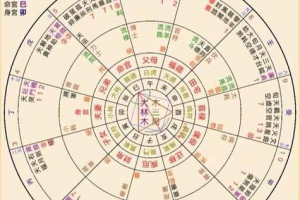 紫薇斗数排盘姓名 紫薇斗数排盘姓名