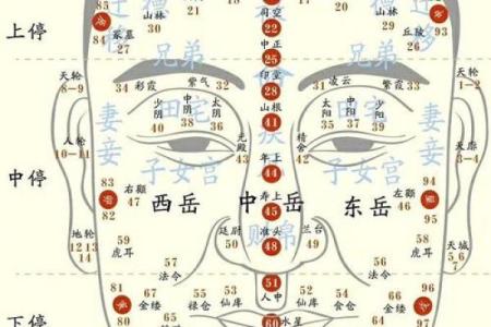 面相算命入门：五行与相貌