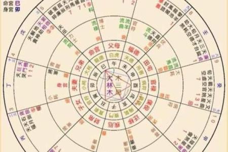 紫薇斗数排盘姓名