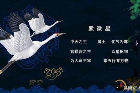 紫薇斗数看谁漂亮