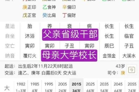 八字命理-2024年农历七月二十七的孩子命运详解