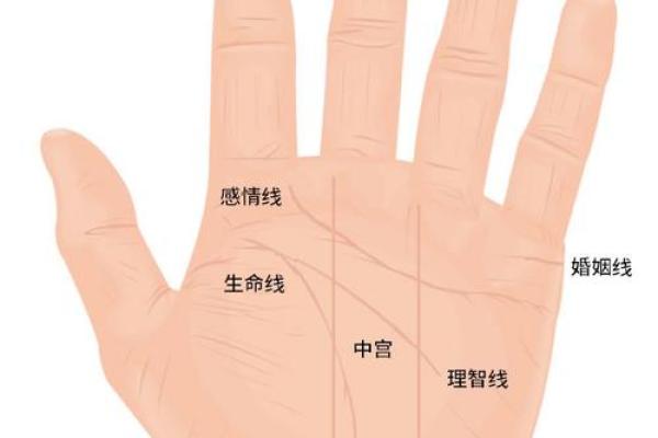 手掌算命 手掌算命