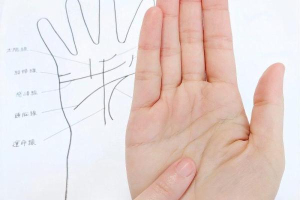 手掌算命 手掌算命